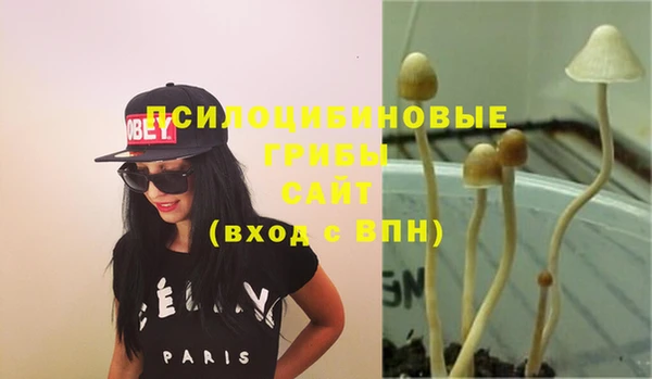 тгк Ростов